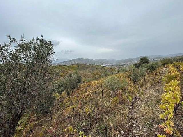 Terreno à venda em Cambres, Lamego RE/MAX Portugal