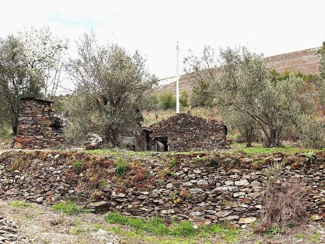 Terreno à venda em Campeã, Vila Real RE/MAX Portugal