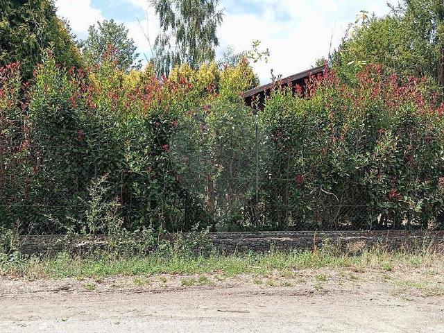 Terreno à venda em Campeã, Vila Real RE/MAX Portugal