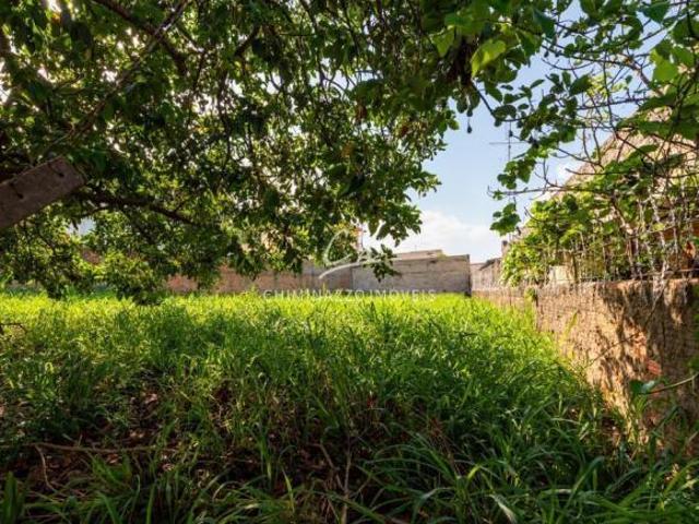 Terreno à venda em Campinas, Nova Campinas, com 380 m²