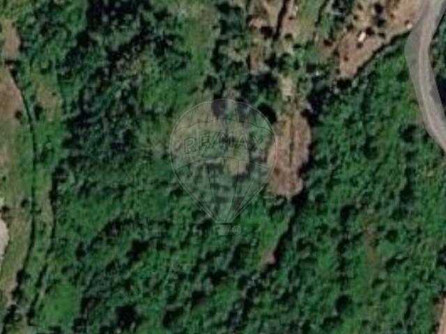 Terreno à venda em Candemil, Amarante RE/MAX Portugal