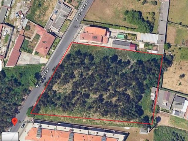Terreno Urbano Canelas