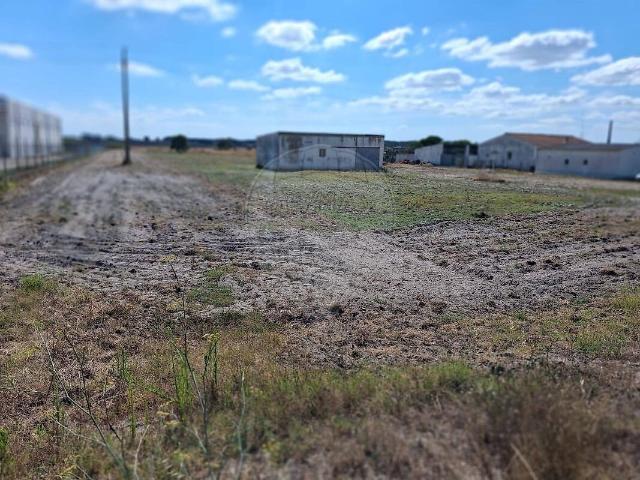 Terreno à venda em Canha, Montijo RE/MAX Portugal