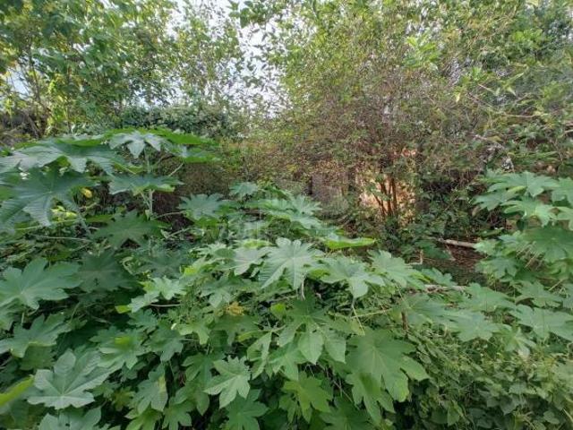 Terreno à venda em Canoas RS, bairro Niterói:, 484m² de área!