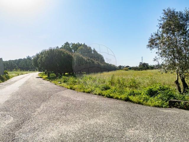 Terreno à venda em Cantanhede