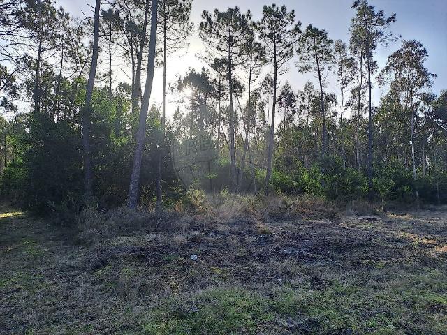 Terreno à venda em Cantanhede