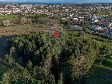 Terreno à venda em Cantanhede