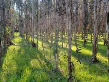 Terreno à venda em Cantanhede