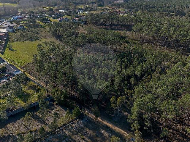 Terreno à venda em Cantanhede