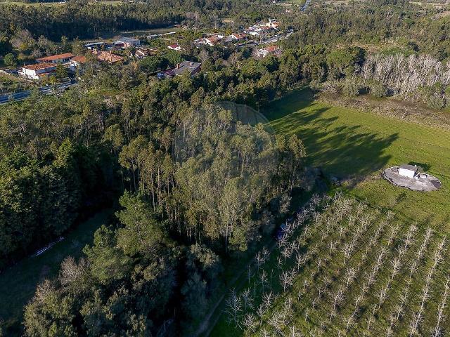 Terreno à venda em Cantanhede