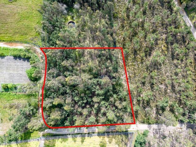 Terreno à venda em Febres, Cantanhede RE/MAX Portugal
