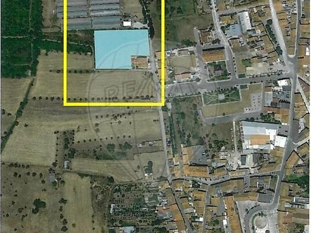 Terreno à venda em Cantanhede e Pocariça, Cantanhede RE/MAX Portugal