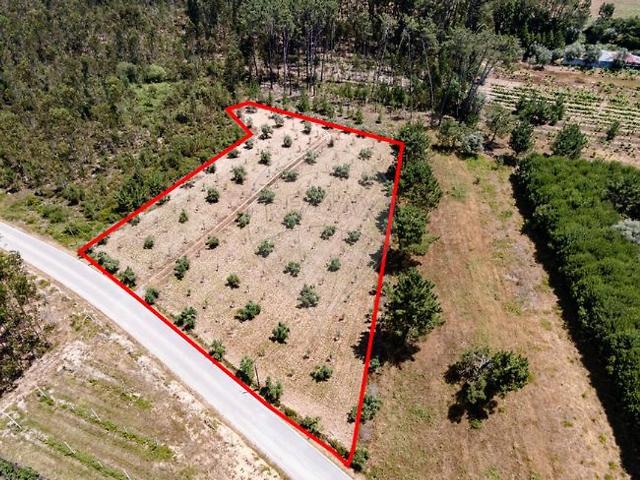 Terreno à venda em Cantanhede e Pocariça, Cantanhede RE/MAX Portugal
