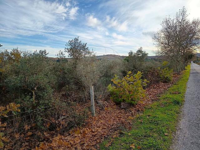 Terreno à venda em Caria, Belmonte RE/MAX Portugal