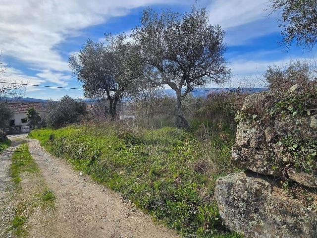 Terreno à venda em Caria, Belmonte RE/MAX Portugal