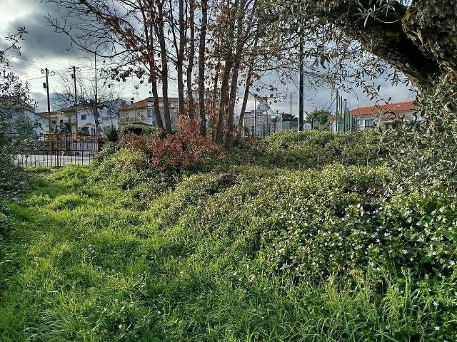 Terreno à venda em Caria, Belmonte RE/MAX Portugal