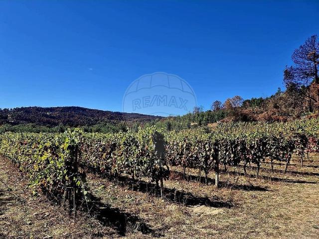 Terreno à venda em Caria, Moimenta da Beira RE/MAX Portugal
