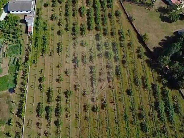 Terreno à venda em Carrazedo, Amares RE/MAX Portugal