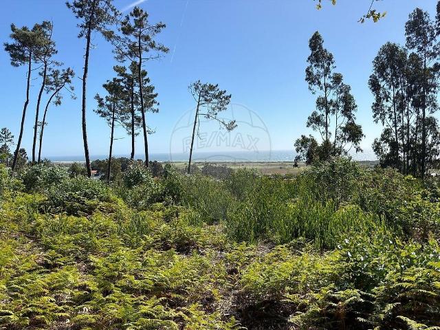 Terreno à venda em Carreço, Viana do Castelo RE/MAX Portugal