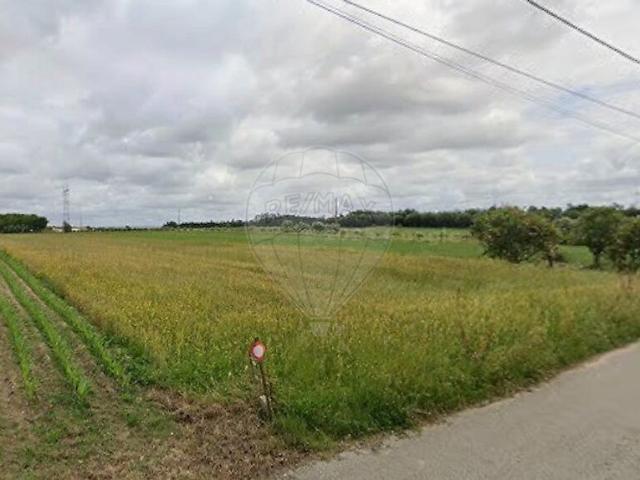Terreno à venda em Carriço, Pombal RE/MAX Portugal