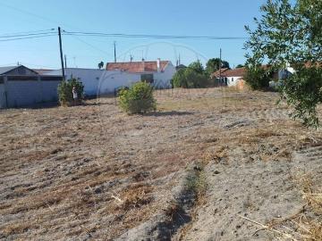Terreno à venda em Cartaxo