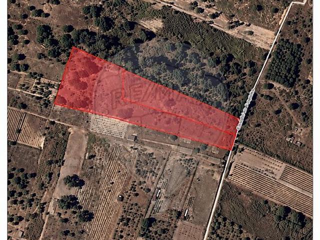 Terreno à venda em Cartaxo e Vale da Pinta, Cartaxo RE/MAX Portugal