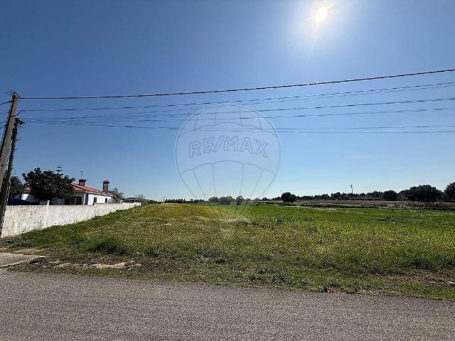 Terreno à venda em Cartaxo e Vale da Pinta, Cartaxo RE/MAX Portugal