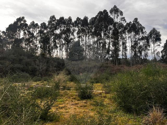 Terreno à venda em Carvalhosa, Paços de Ferreira RE/MAX Portugal