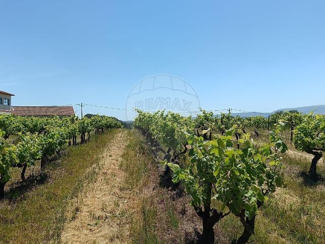 Terreno à venda em Carvalhal, Bombarral RE/MAX Portugal