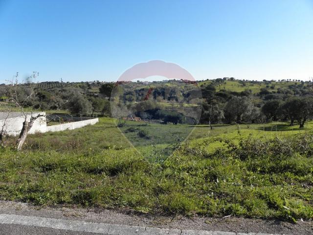 Terreno à venda em Carvalhal da Aroeira