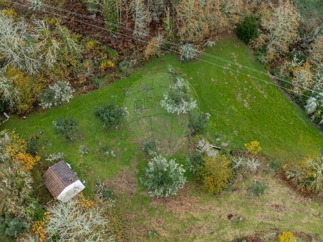 Terreno à venda em Casal Vasco, Fornos de Algodres RE/MAX Portugal