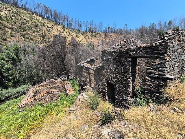 Terreno à venda em Casegas e Ourondo, Covilhã RE/MAX Portugal