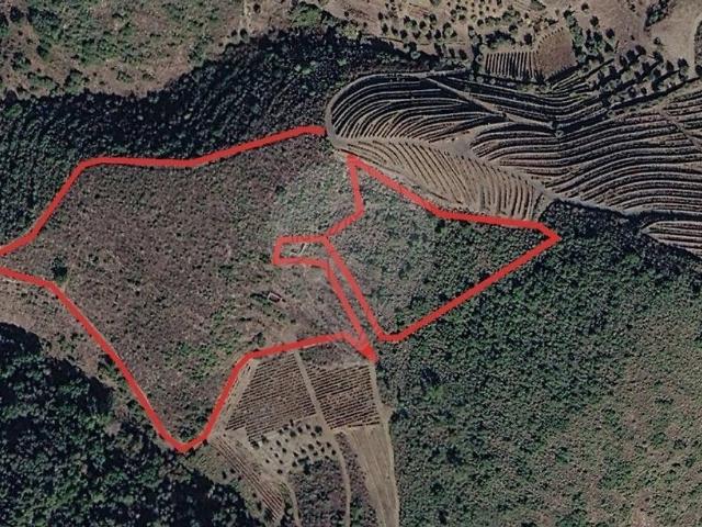 Terreno à venda em Castanheiro do Sul, São João da Pesqueira RE/MAX Portugal