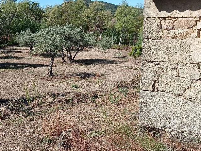 Terreno à venda em Casteleiro, Sabugal RE/MAX Portugal