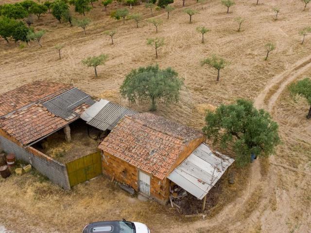 Terreno à venda em Castelo Branco