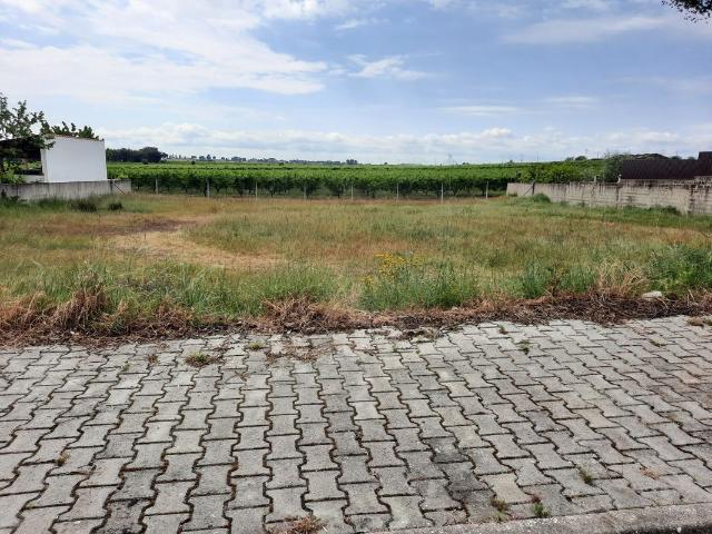 Terreno à venda em Castelo Branco