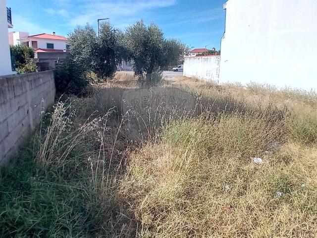 Terreno à venda em Castelo Branco