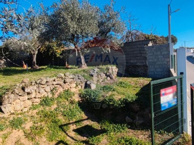 Terreno à venda em Castelo Branco