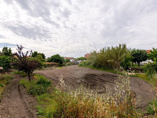 Terreno à venda em Castelo Branco