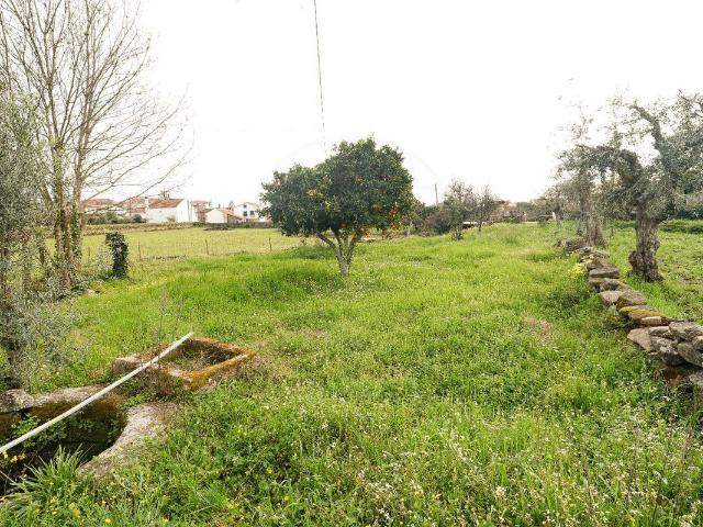 Terreno à venda em Castelo Branco
