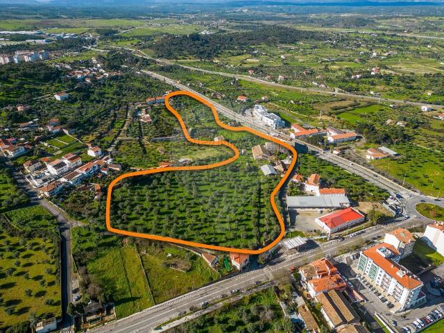 Terreno à venda em Castelo Branco