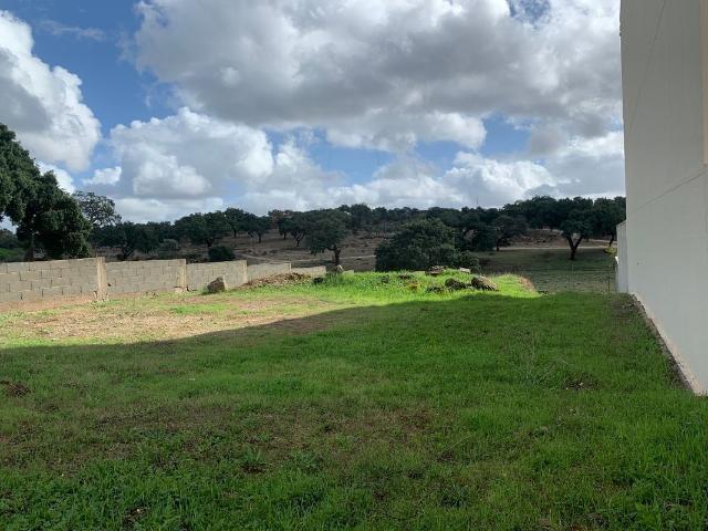 Terreno à venda em Castelo Branco