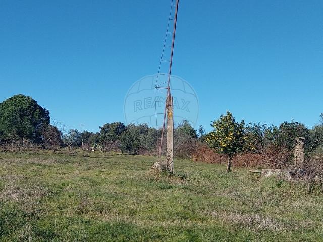 Terreno à venda em Castelo Branco