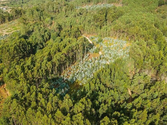 Terreno à venda em Castelo de Penalva, Penalva do Castelo RE/MAX Portugal