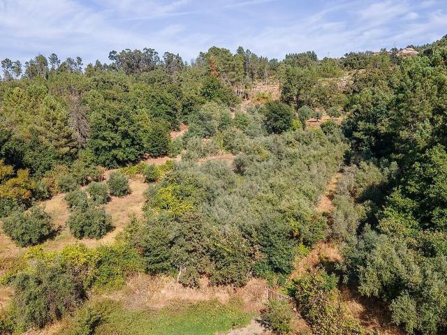 Terreno à venda em Castelo de Penalva, Penalva do Castelo RE/MAX Portugal