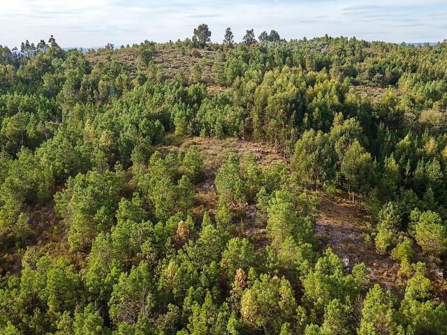 Terreno à venda em Castelo de Penalva, Penalva do Castelo RE/MAX Portugal