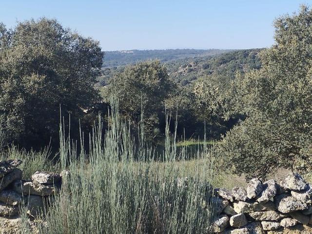 Terreno à venda em Castelo Mendo, Ade, Monteperobolso e Mesquitela, Almeida RE/MAX Portugal