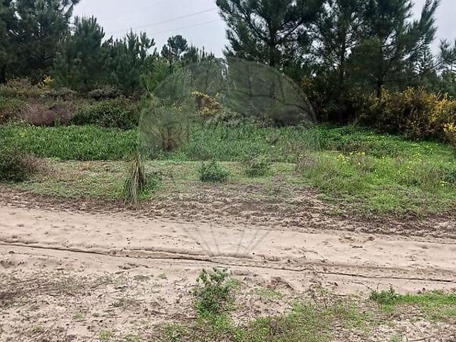Terreno à venda em Castelo Sesimbra, Sesimbra RE/MAX Portugal