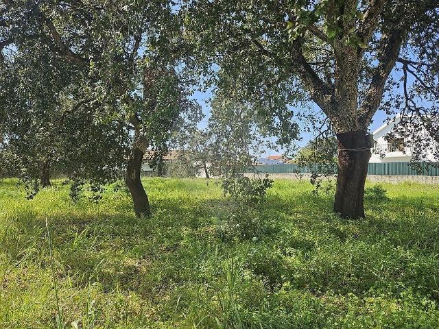 Terreno à venda em Castelo Sesimbra, Sesimbra RE/MAX Portugal