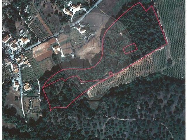 Terreno à venda em Castelo Sesimbra, Sesimbra RE/MAX Portugal